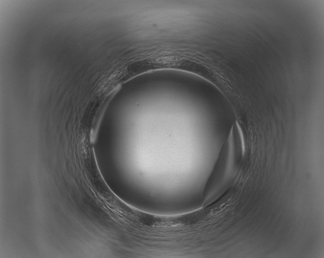 X0000050740597200506161529