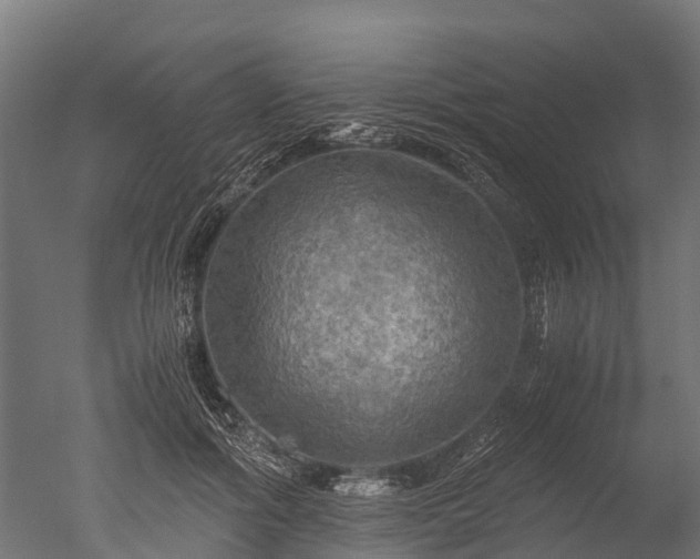 X0000050740602200506161529