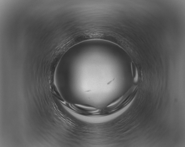 X0000050740604200506161529