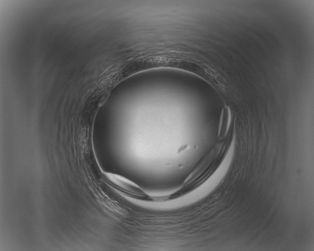 X0000050740605200506161529