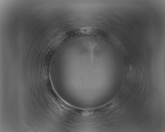 X0000050740606200506161529