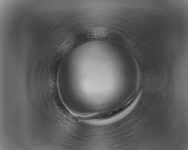 X0000050740608200506161529