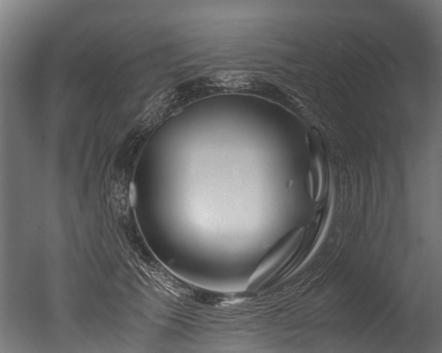 X0000050740609200506161529