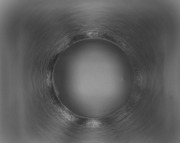 X0000050740610200506161529