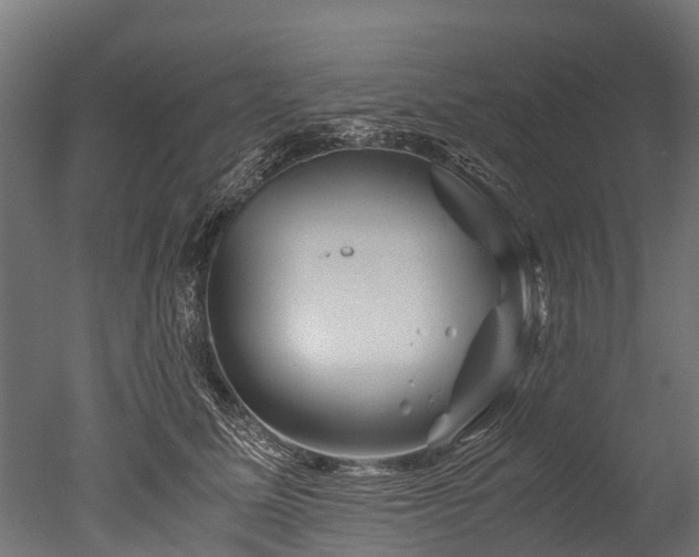 X0000050740611200506161529