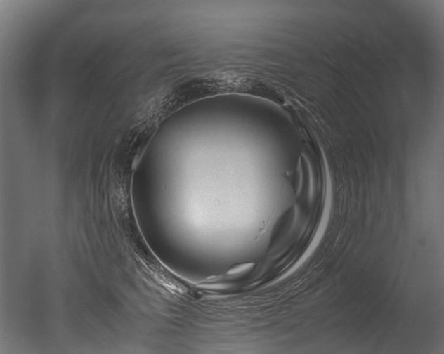 X0000050740613200506161529