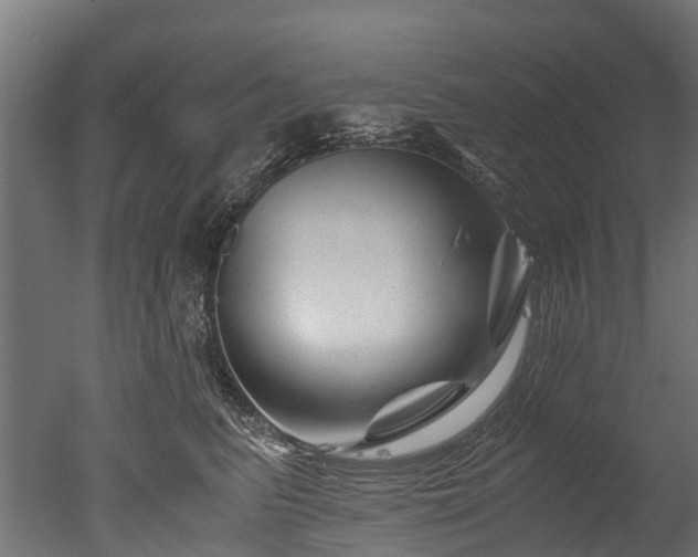 X0000050740615200506161529