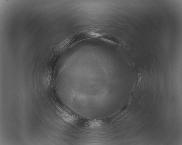 X0000050740618200506161529