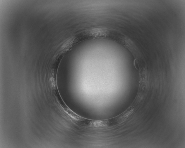 X0000050740622200506161529