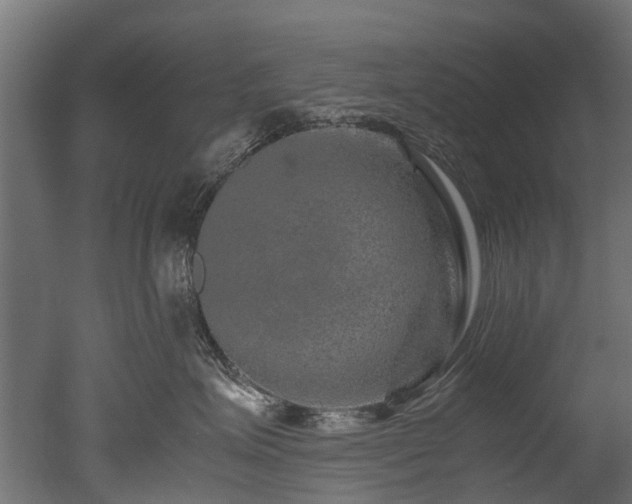 X0000050740623200506161529