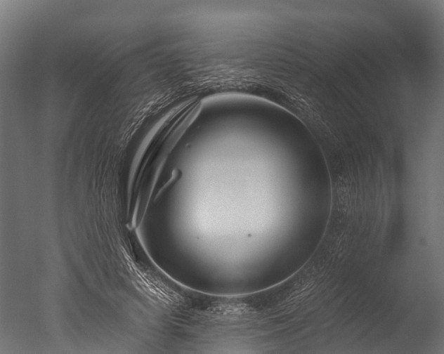 X0000050740642200506161528