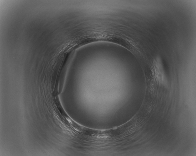 X0000050740643200506161528
