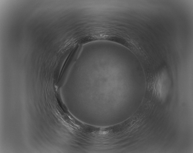 X0000050740647200506161528