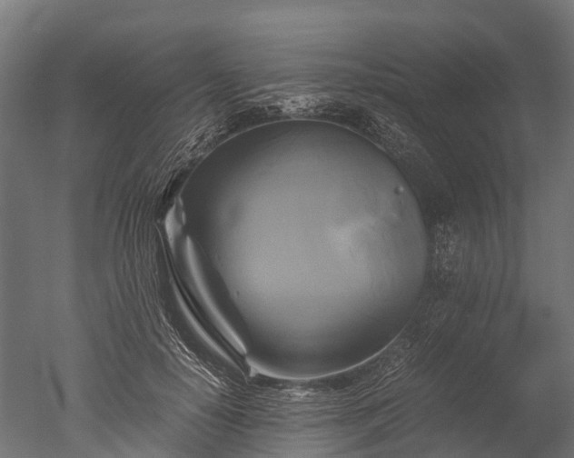 X0000050740650200506161528