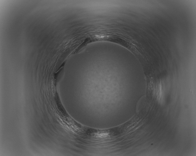 X0000050740651200506161528