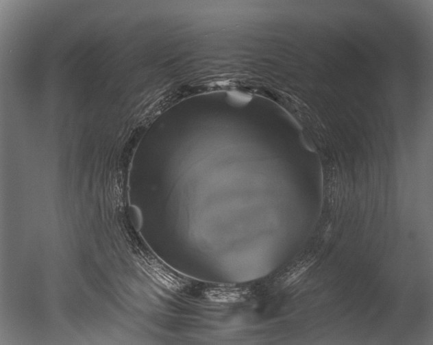 X0000050740661200506161528