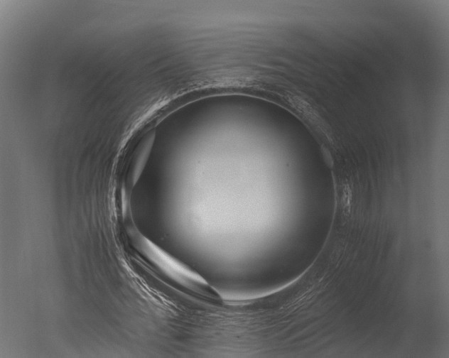 X0000050740676200506161528