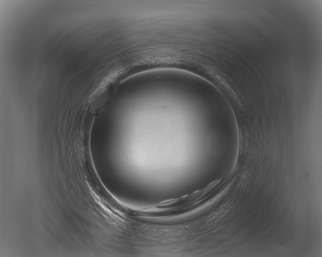 X0000050740677200506161528