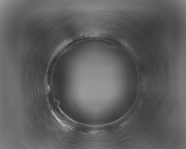 X0000050740678200506161528