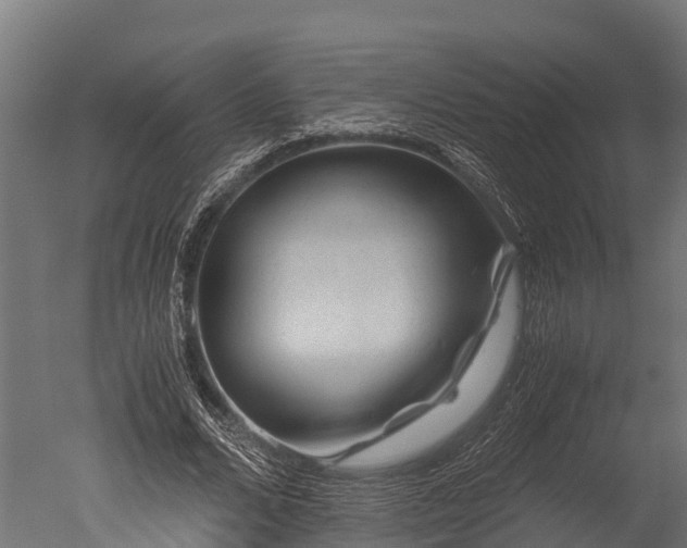 X0000050740680200506161528