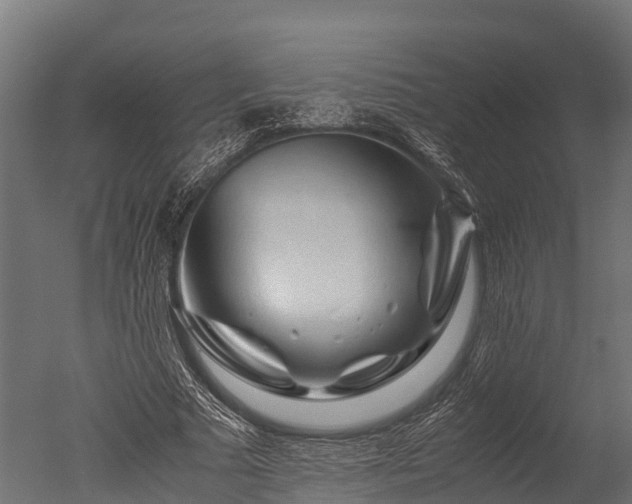 X0000050740681200506161528