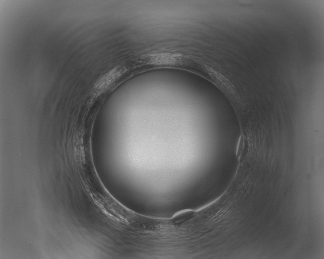 X0000050740682200506161527