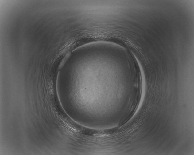 X0000050740689200506161527
