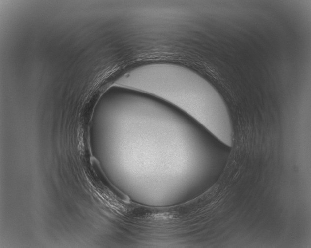 X0000050740692200506161527