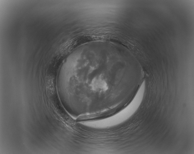 X0000050740699200506161527