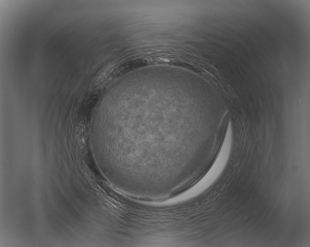 X0000050740701200506161527