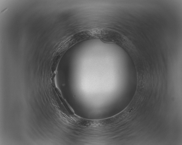 X0000050740702200506161527