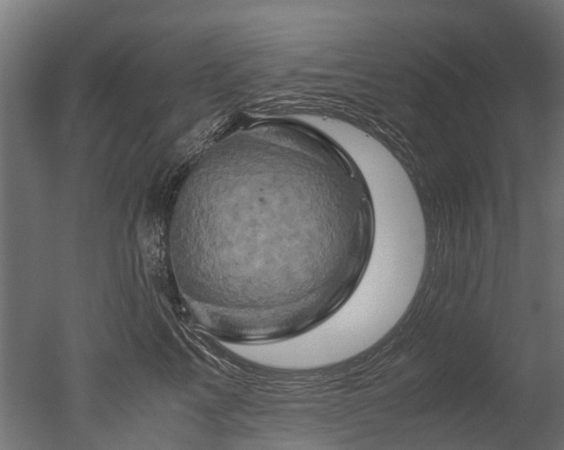 X0000050740713200506161527