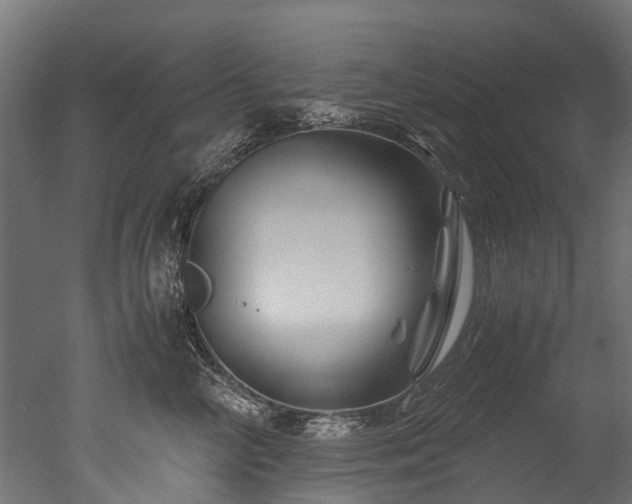 X0000050740714200506161527