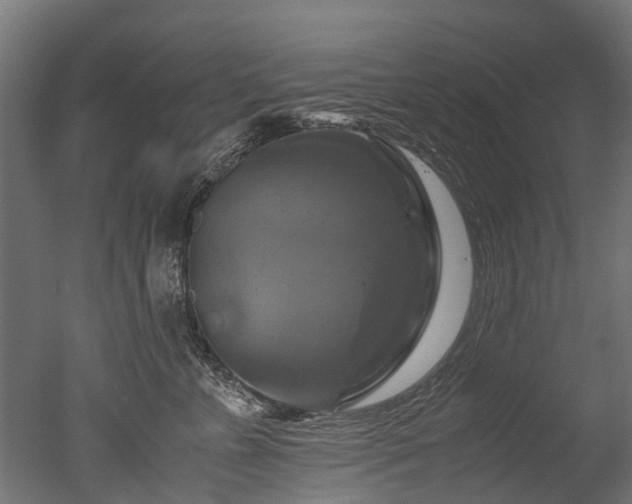 X0000050740715200506161527