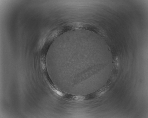 X0000050740719200506161527