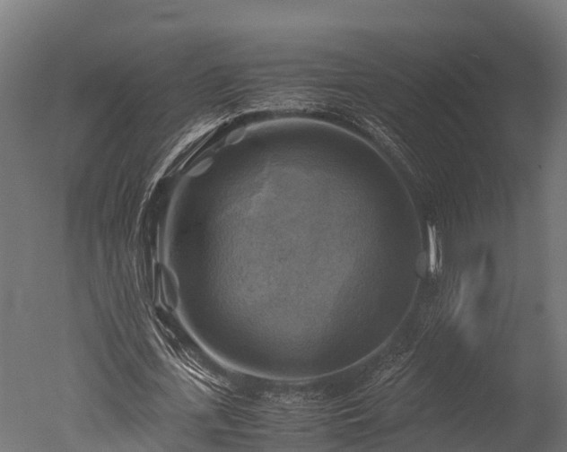 X0000050740723200506161526