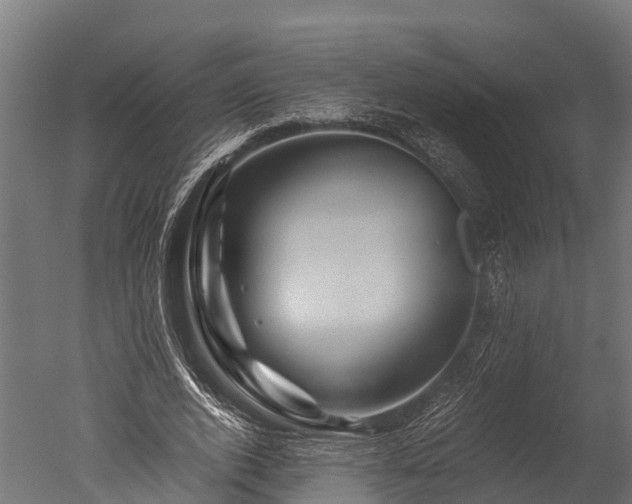 X0000050740728200506161526