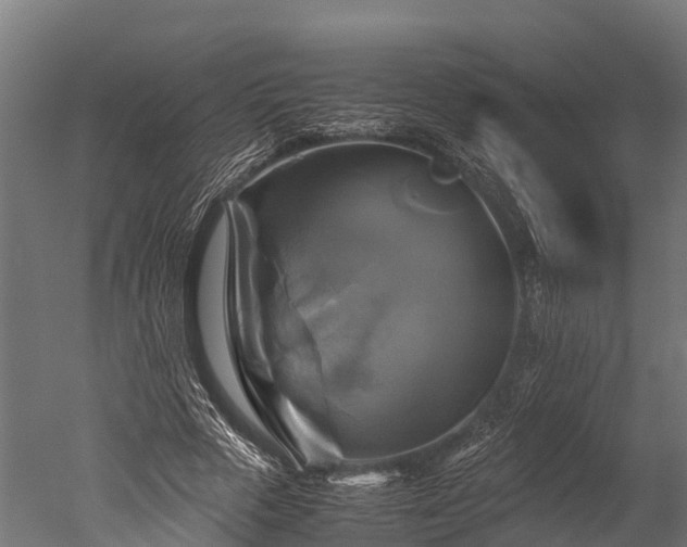 X0000050740729200506161526