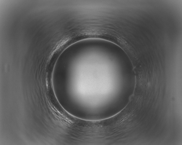 X0000050740731200506161526