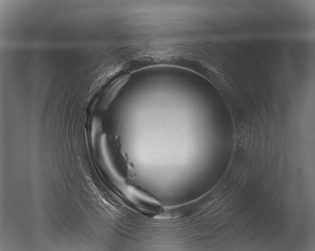 X0000050740740200506161526