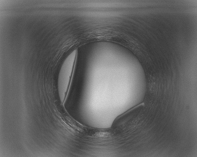 X0000050740748200506161526