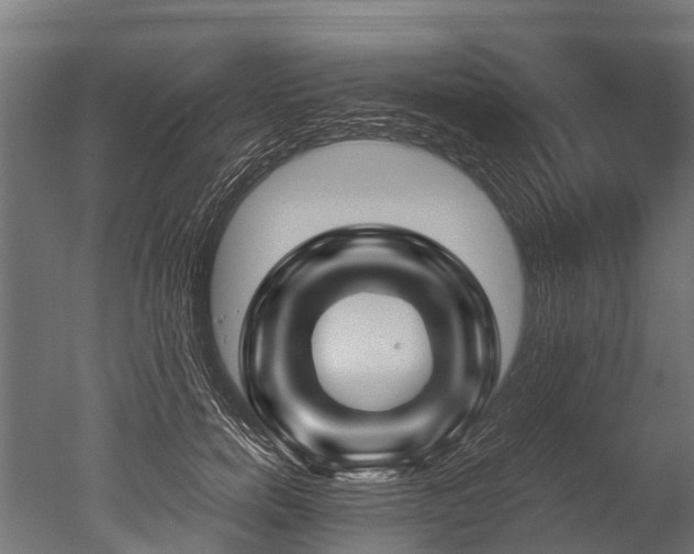 X0000050740750200506161527