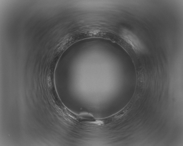 X0000050740754200506161527