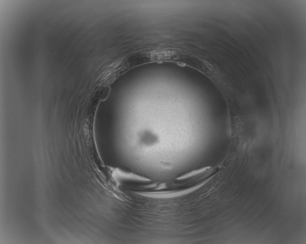 X0000050740761200506161527