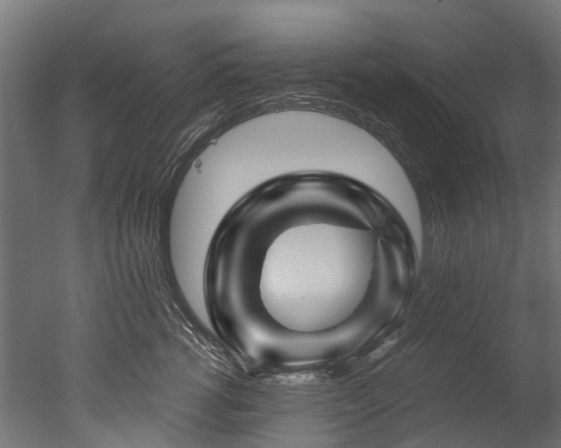 X0000050740762200506161527