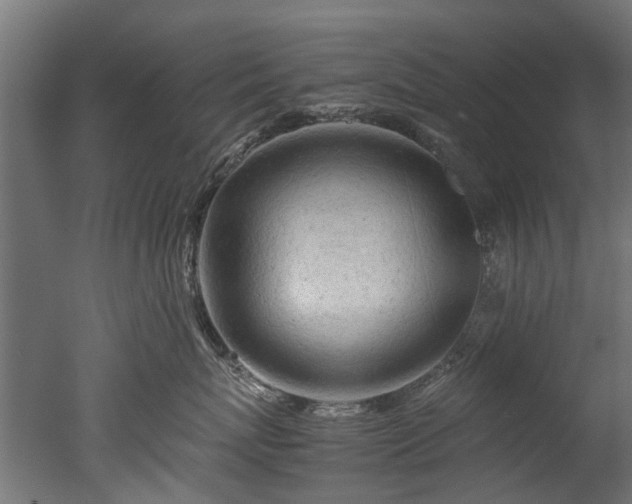 X0000050740767200506161527