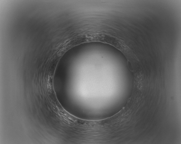 X0000050740770200506161526