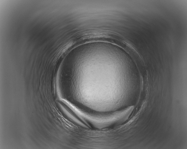 X0000050740777200506161526