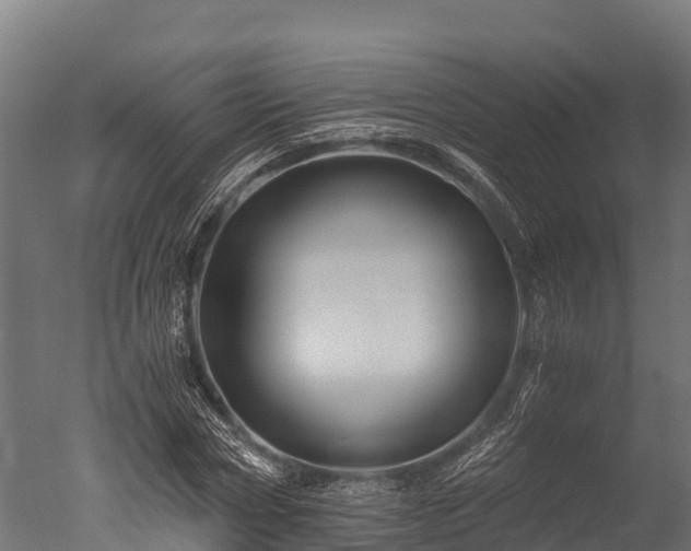 X0000050740778200506161526