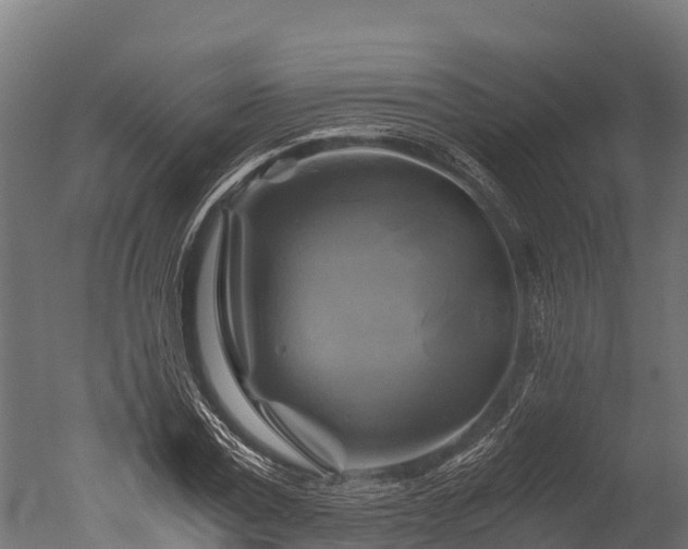 X0000050740779200506161526